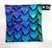 Dragon Scales
