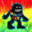 Birthday and Gender Reveal Custom Diapers